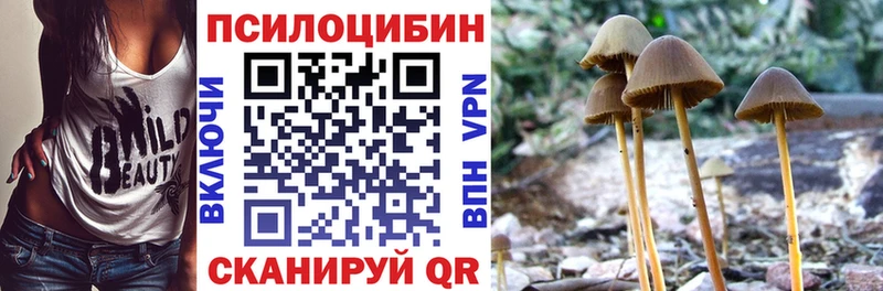 Псилоцибиновые грибы Magic Shrooms Невьянск