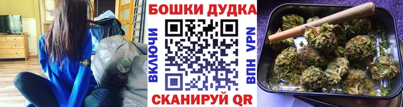 купить   Невьянск  Конопля сатива 